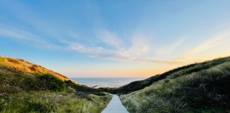 Charting the path to a healthier cyber insurance market Charting-path-to-healthier-cyber-insurance-market