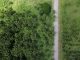 EBA publishes report on ESG risks integration EBA