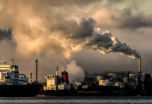 G20 called to intervene to avert bank funding of fossil fuels G20