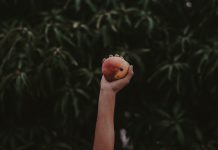 MangoPay snaps up Nethone to help tackle marketplace fraud MangoPay