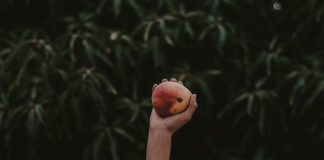 MangoPay snaps up Nethone to help tackle marketplace fraud MangoPay