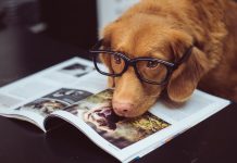 Monitoring and security firm Datadog buys Cloudcraft Monitoring-and-security-firm-Datadog-buys-Cloudcraft
