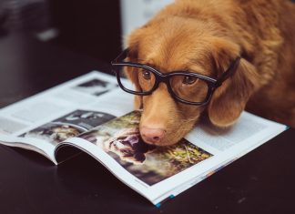 Monitoring-and-security-firm-Datadog-buys-Cloudcraft