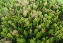 Why cyber risk is a core part of ESG Why cyber risk is a core part of ESG