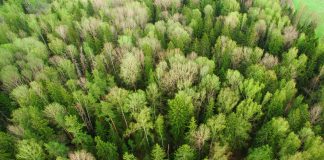 Why cyber risk is a core part of ESG