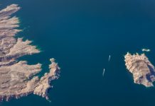 Climate tech firm Offsetted launches ESG compliance product Offsetted