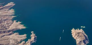 Climate tech firm Offsetted launches ESG compliance product Offsetted