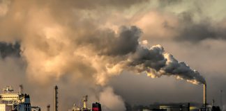 Plan A teams with Visa to decarbonise businesses globally Plan A