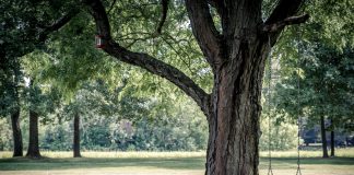 Vaultree lands $12.8m in Series A raise Vaultree