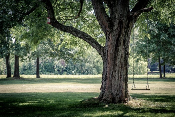 Vaultree-lands-$12.8m-in-Series-A-raise Vaultree