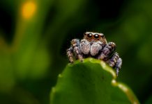 Cybersecurity solution provider SpiderOak snares $16.4m Cybersecurity solution provider SpiderOak snares $16.4m