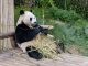 Singapore-based cybersecurity startup Blackpanda nets $15m singapore-based-cybersecurity-startup-blackpanda-nets-15m