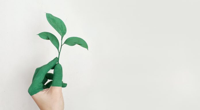 Chartered Banker Institute welcomes FCA paper on ESG issues CBI