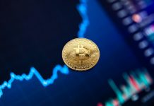 Digital pound could launch in the next decade, UK Treasury claims digital