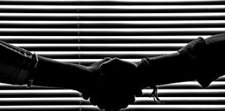 Hawk AI, Nikulipe link to boost AML transaction monitoring Nikulipe