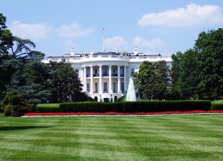 NSA veteran Chris Inglis steps down as US cyber head US