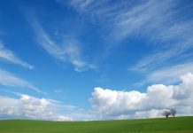 SaaS-based CyberTech Skybox Security collects $50m and names new CEO SaaS-based CyberTech Skybox Security collects $50m and names new CEO