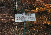 Could the introduction of Gen AI into the cyber world spell danger? cyber