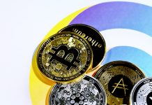 Crypto tax declarations startup Divly bags $400k Crypto-tax-declarations-startup-Divly-bags-$400k
