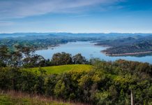Australia set to issue first green bond in 2024 bond