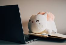 Crypto crime fighting startup CAT Labs bags $4.3m CAT