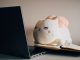 Crypto crime fighting startup CAT Labs bags $4.3m CAT