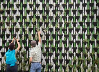Majority of UK retail investors are focusing on sustainable funds, study finds funds