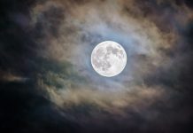 AI-driven fraud detection startup Moonsense bags $4.2m seed funding AI-driven fraud detection startup Moonsense bags $4.2m seed funding