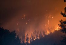 Accenture teams with Cervest to expand climate risk views Accenture