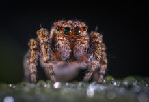 Cybersecurity firm, SpiderOak, garners robust backing Cybersecurity firm, SpiderOak, garners robust backing