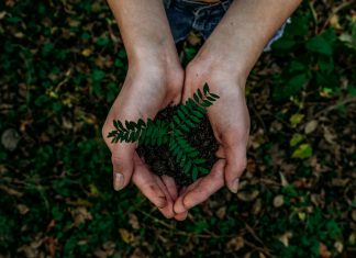 Is ESG a source of risk or an opportunity? ESG