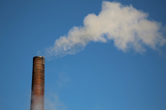 Over a third of public companies now report Scope 3 emissions, study finds emissions
