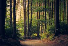 Trends from this year’s European sustainability reporting season Trends from this year's European sustainability reporting season