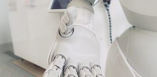 Why self-cannibalisation is the secret to a successful AI model AI