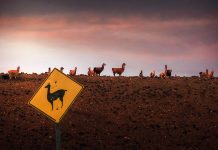 £8.5m boost for LlamaIndex to enhance large language model capabilities LlamaIndex