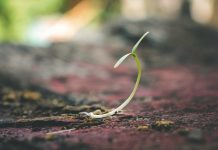 Access management start-up NineID secures $2.6m in seed funding NineID