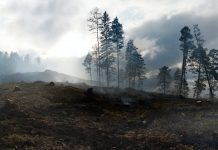Finastra and Green RWA introduce climate risk management platform Finastra