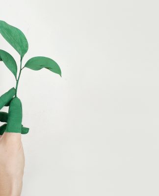 Unveiling the future of global ESG standards and taxonomies ESG