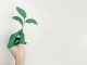 Unveiling the future of global ESG standards and taxonomies ESG