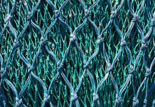 Global cybercrime disruptor Netcraft bags more than $100m in funding Global cybercrime disruptor Netcraft bags more than $100m in funding