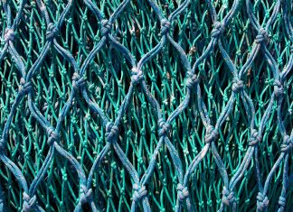 Global cybercrime disruptor Netcraft bags more than $100m in funding Global cybercrime disruptor Netcraft bags more than $100m in funding