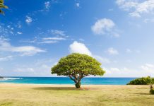 How can technology help firms improve sustainability reporting? How can technology help firms improve sustainability reporting?