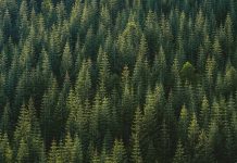 Navigating ESG regulations: A roadmap for financial institutions