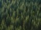 Navigating ESG regulations: A roadmap for financial institutions