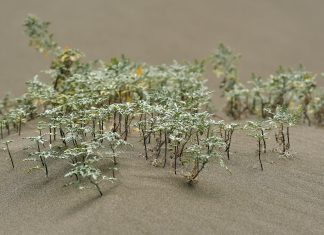 How to navigate the intricacies of financial regulatory sandboxes sandboxes