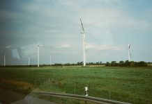 S&P Global introduces new nature & biodiversity risk assessment for investors S&P