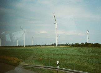 S&P Global introduces new nature & biodiversity risk assessment for investors S&P