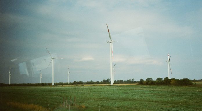 S&P Global introduces new nature & biodiversity risk assessment for investors S&P