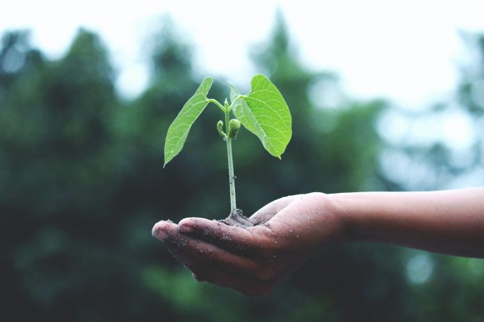 Identity SecOps leader AuthMind lands $8.5m in seed round AuthMind