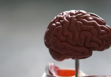Mindgard’s AI cybersecurity gains £3m seed funding boost